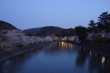 Night view of unlit trees in Uji