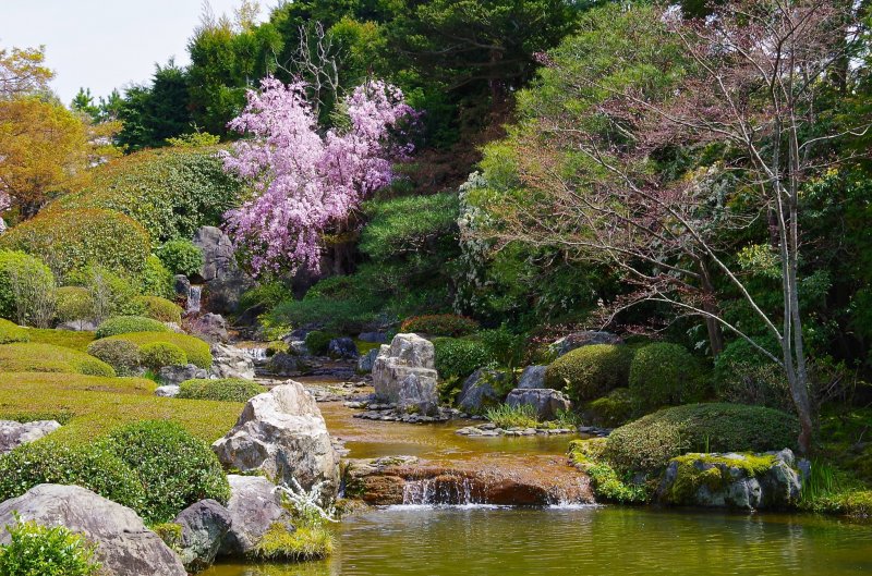 Ёко-эн, красочный сад с множеством сезонных цветов