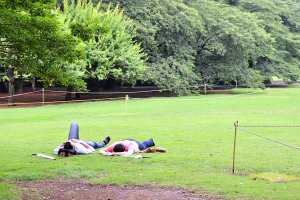 นักท่องเที่ยวที่นอนพักอย่างสบายอารมณ์บนพื้นหญ้า&nbsp;