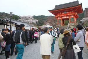 วัดน้ำใส Kiyomizu Dera Temple