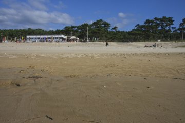 <p>Broad sandy beach in front of Shingu-ya</p>
