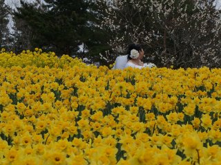 Met a bride and groom taking wedding photos. The arrival of spring, which signals a new beginning, is even more refreshing