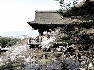側面から見る京都の象徴、清水寺