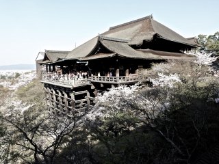 What a great time to be at Kiyomizudera...the cherry trees were in full bloom