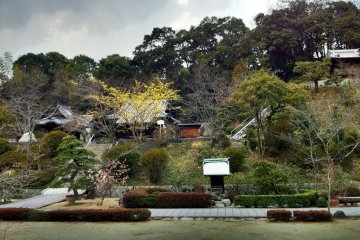 Hillside with various buildings and flowering trees