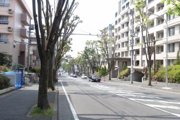<p>ถนนต้นไม้ด้านหน้า Comfort Tama Plaza ในฤดูร้อนใบของต้นไม้คงจะงอกปกคลุมถนนไปตลอดสาย</p>