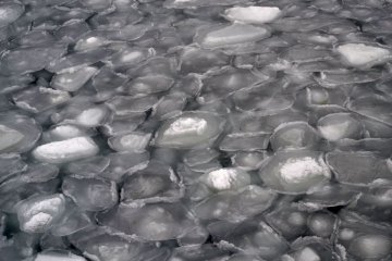Ледяные пластины в форме листьев лотоса