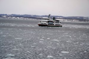 Drift ice sightseeing Cruise