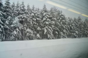 Thiên nhiên trong tuyết
