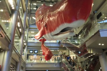<p>ปลาวาฬบาลีนสีแดง จุดเด่นของห้าง HepFive</p>