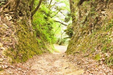 <p>Nearing the end, on the way down to Tsukayama Park</p>