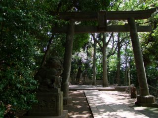 Cổng torii ở lối vào phụ