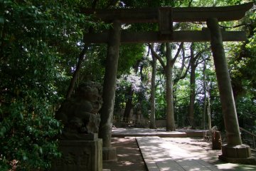 <p>Torii on the side entrance</p>