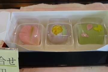 <p>&#39;Wagashi&#39; - Traditional Japanese confectionery</p>