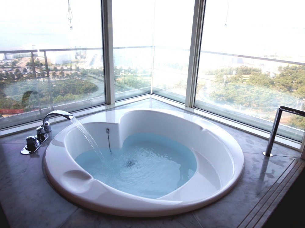 Heart-shaped bathtub in motion...how about a morning bath looking out at the beautiful bridge through a big glass window?
