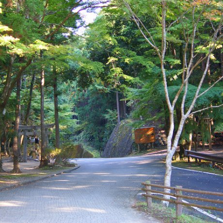 Old Kumano Road: Iseji Route