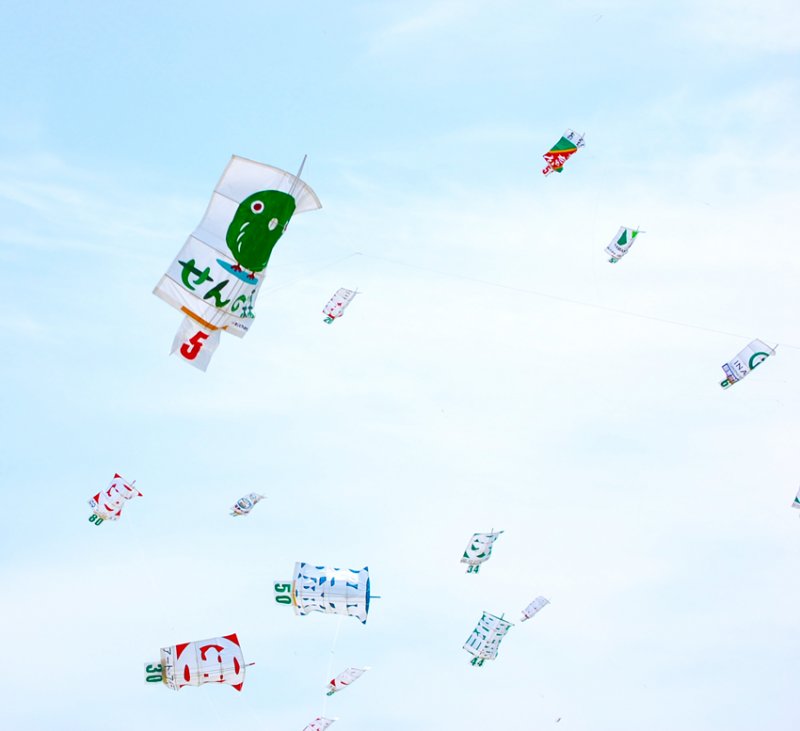 Kites in the afernoon breeze.