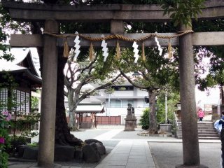 Một trong những cổng tori ở ngôi đền