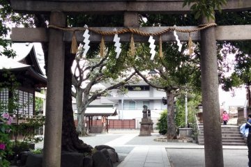 One of the tori&nbsp;entrances to the shrine.&nbsp;
