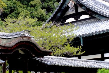 Kaizan-do and Kangetsu-dai (Moon viewing deck) of Kodaiji Temple