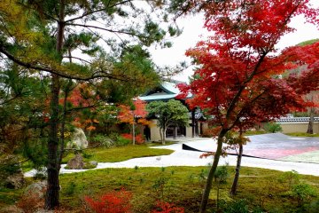 Beautiful autumn garden of Kodaiji Temple. What a great place to spend your Golden Years!