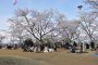 Công viên Kinugasayama xinh đẹp 