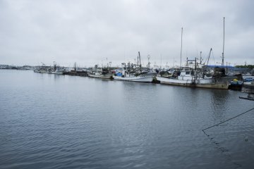 <p>Rows of fishing boats along the port of Sakaiminato.</p>