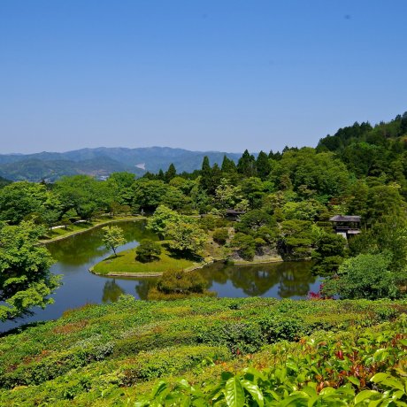 Сюгакуин Рикю: Императорская Вилла в Киото