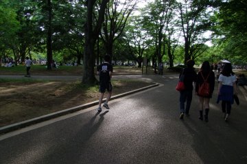 <p>Nohara by Mizuno has everything you need to make Yoyogi Park your personal running center</p>
