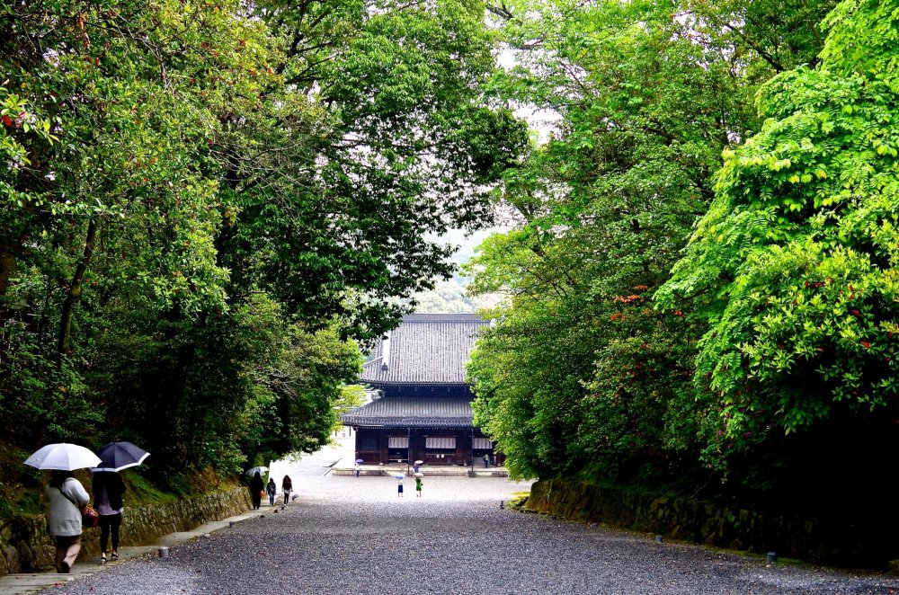 Sennyu-ji Temple is hidden in a deep forest