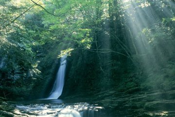 Akame 48 Waterfalls