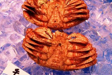 Fresh crab from Hokkaido delivered to your convenience in Kyoto