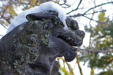 <p>This is one of the many lion type guardians of the shrine, here I suppose he&#39;s not happy about wearing a snow hat.&nbsp;</p>