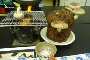 PIck and grill your own mushrooms -- super fun.  You can take the mushroom stump home if you live in Japan.