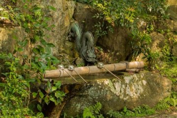 <p>Temizuya with a dragon shaped head at the base of the Seiryu-gu Haiden (清瀧宮拝殿) on the Kami-Daigo trail</p>