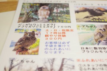 You can pick the owl you want to pet from this menu!