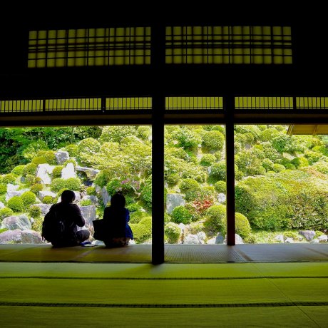 Jardin du Temple Chishaku-in, Kyoto