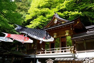 <p>Kifune Shrine and carp streamers in May</p>