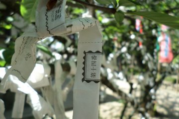 <p>ต้นไม้ที่มีคำอธิษฐานของผู้ที่มาเที่ยวชมวัดผูกไว้</p>
