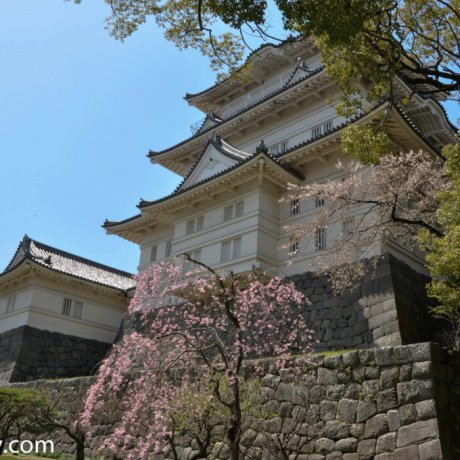 Fascinated by Odawara Castle