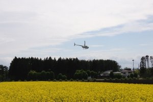 For a fee you can take a ride in this helicopter above the fields