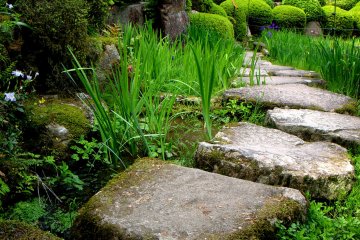 <p>Stepping stones lead past irises to a waterfall</p>