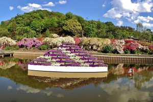 Ashikaga Flower Park is equally beautiful in daylight. You can also enjoy a variety of flowers other than wisteria which it is most famous for. The backdrop of the hills adds further beauty to the scenic location in Tochigi Prefecture. Summers are also a popular time to visit, when the pond is filled with white lilies.