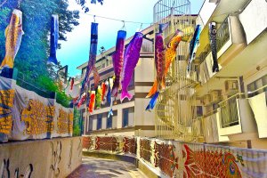 Colorful &#39;Carp Banners&#39; displayed around apartment block leading&nbsp;down to the forest entrance