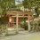 Le Sanctuaire de Kasuga à Nara