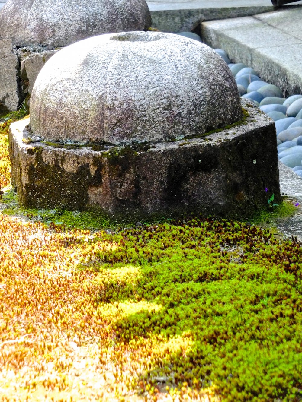 Not sure what it is, but the combination of moss and stone and shadow was magical