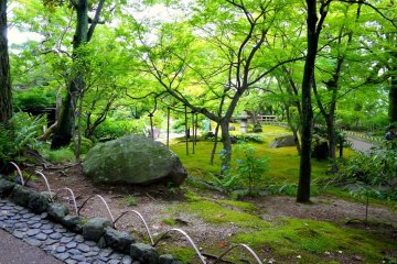 <p>The garden is green and lovely in May and June</p>