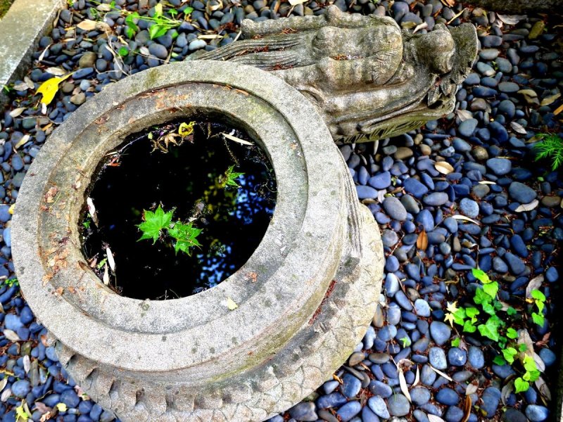 <p>Small water basin that looks like a coiled dragon</p>