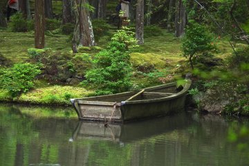<p>Row boat in the pond</p>