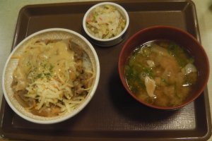 Gyudon with cheese, with a bowl of miso soup